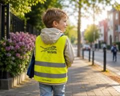 Picture of the product Safety vests