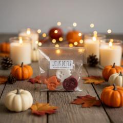 Fondants parfumés Halloween artisanaux, citrouilles et ambiance cocooning d’automne, petite idée cadeau originale de créateur belge sur Wimzzi / Handgemaakte Halloween geurwaxmelts, pompoenen en gezellige herfstsfeer, origineel cadeautje van een Belgische maker op Wimzzi / Handmade Halloween scented wax melts with pumpkins, cosy autumn atmosphere and original gift by a Belgian maker on Wimzzi