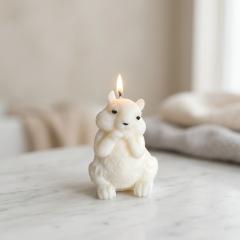 Photo de l'article Bougie Ecureuil Bio parfum au choix