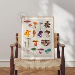 Photo de l'article Affiche Les Champignons – Illustration nature en aquarelle, impression artistique 300g