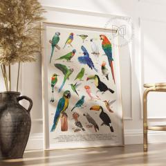 Picture of the product Remarkable Birds Print – Hand-drawn nature artwork on 300g textured paper