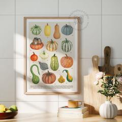Picture of the product Affiche Courges