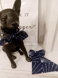 Foto van het artikel Ensemble chic pour petits chiens ou chats