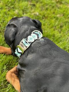 Collier pour chien tissé à la main – entre confort et beauté – création belge pour les animaux qu’on aime / Handgeweven hondenhalsband – comfortabel en mooi – Belgische creatie voor trouwe dieren / Handwoven dog collar – comfort meets beauty – Belgian creation for pets we love