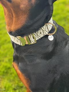 Collier Zira fait main en Belgique – chic et robuste, pensé pour les chiens qu’on aime / Zira halsband handgemaakt in België – sterk en stijlvol – voor honden die we liefhebben / Zira collar handmade in Belgium – elegant and sturdy – for dogs we truly love
