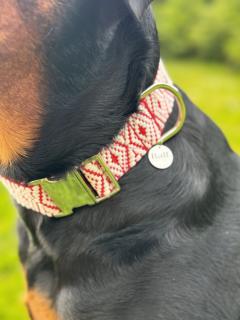 Collier Kira tissé main en Belgique – pour chiens aventuriers et familles passionnées / Kira halsband met de hand geweven – voor ontdekkingsreizende honden en warme gezinnen / Kira collar, handwoven in Belgium – for adventurous dogs and loving homes