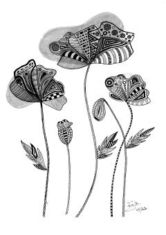 Photo de l'article Affiche A3 noir et blanc “Coquelicots” – illustration florale délicate avec cadre