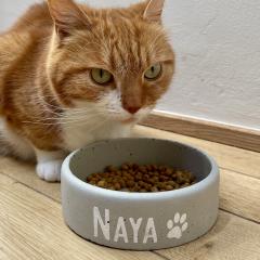 Gamelle pour chat personnalisée avec prénom – bol en céramique fait main, cadeau pour amoureux des félins / Kattenvoerbakje met naam – handgemaakt keramiek, perfect als geschenk / Personalized ceramic cat bowl – handmade, ideal gift for cat lovers