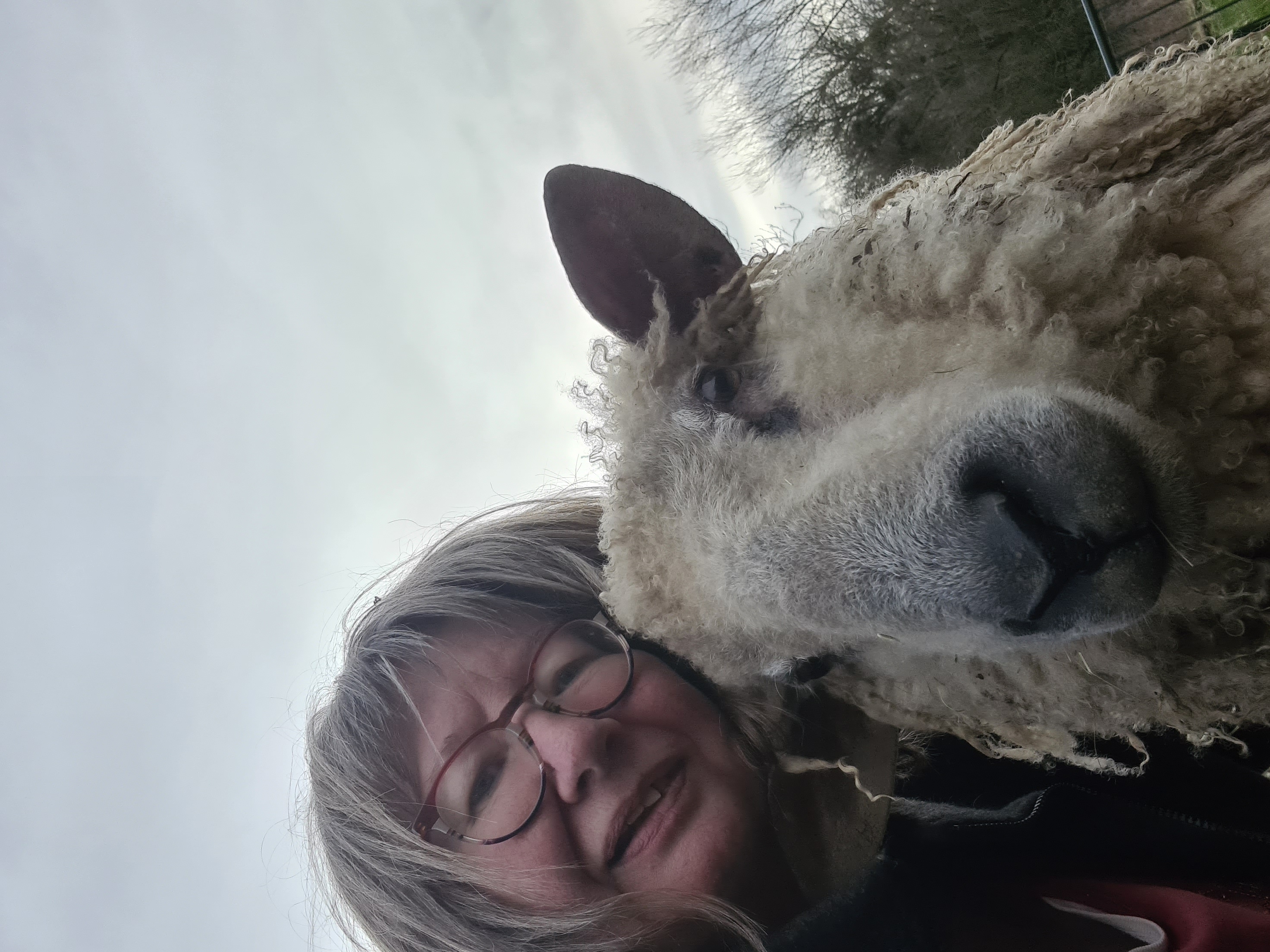 Portrait de l’artisane des Laines de la Garenne avec son mouton Wensleydale. Une passion pour la laine et un engagement pour une production locale et éthique. Chaque création naît de la ferme, transformée avec amour en pièce unique et authentique. / De ambachtsvrouw met haar Wensleydale schaap – passie, vakmanschap en lokale productie. / The artisan with her Wensleydale sheep — where passion, ethics, and craftsmanship meet in each handmade wool creation.