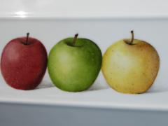 Assiette artisanale en céramique blanche mettant en valeur fruits frais, création belge minimaliste et élégante, pièce unique pour art de la table raffiné / Handgemaakte witte keramische schaal met fruit, minimalistisch Belgisch design, uniek stuk voor verfijnde tafeldecoratie / Handmade white ceramic plate displaying fresh fruit, minimalist Belgian artisan design, unique refined tableware piece